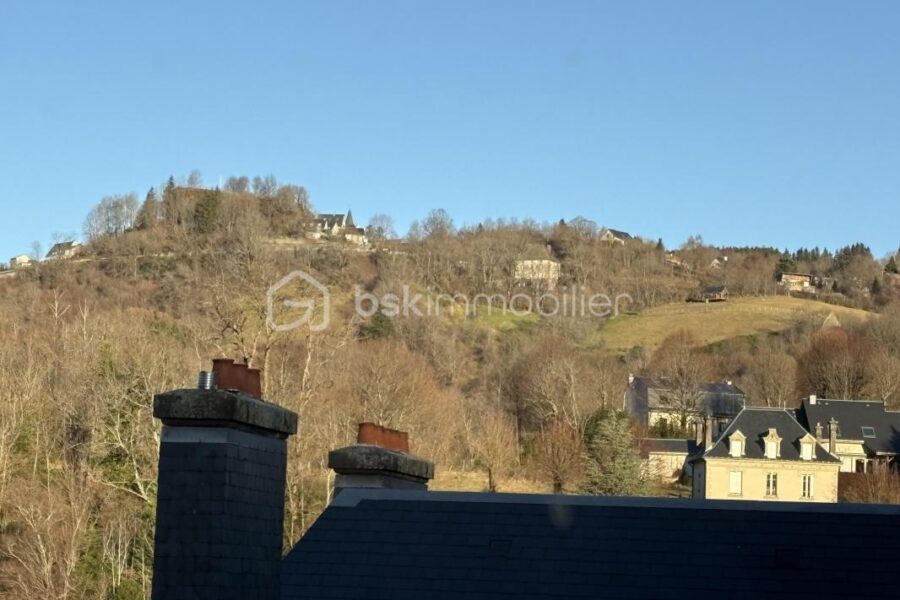 Appartement à vendre à La bourboule — Vue montagne — photo 4