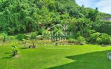Maison à vendre à Huahine — Vue parc — photo 1