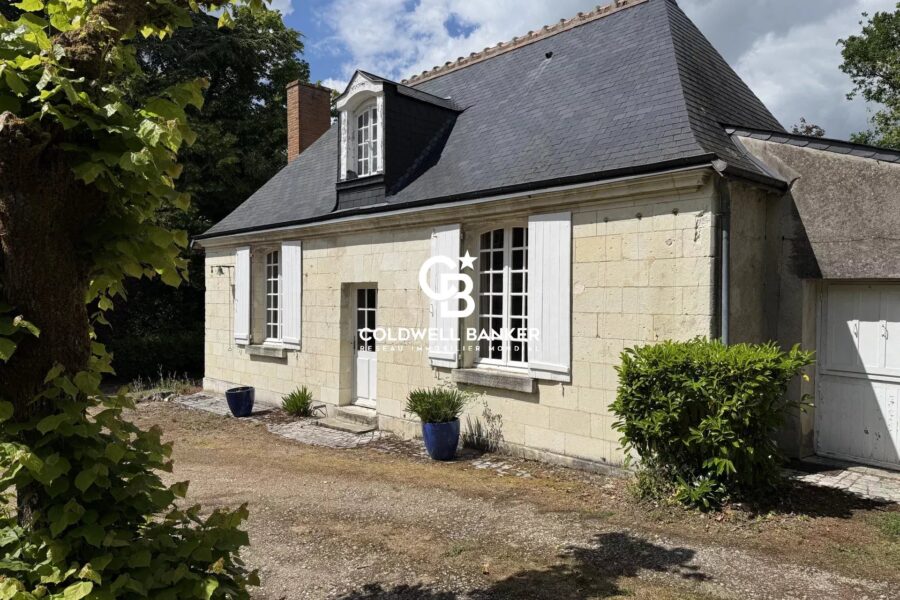 Maison à vendre à Saint-cyr-sur-loire — Vue parc — photo 6