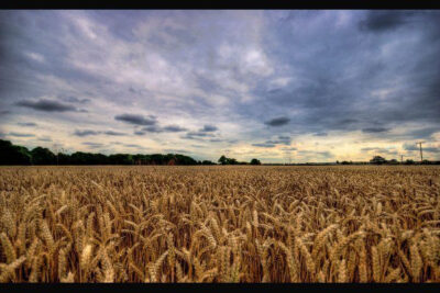 Terrain à vendre à Ségry