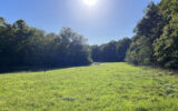 Terrain à vendre à Jouet-sur-l&rsquo;aubois