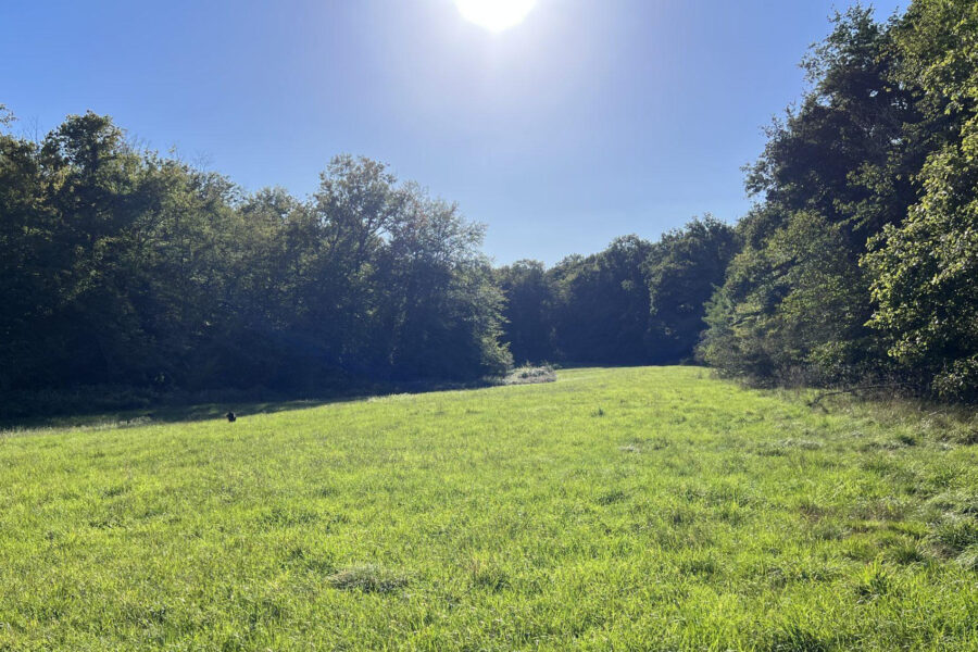 Terrain à vendre à Jouet-sur-l&rsquo;aubois