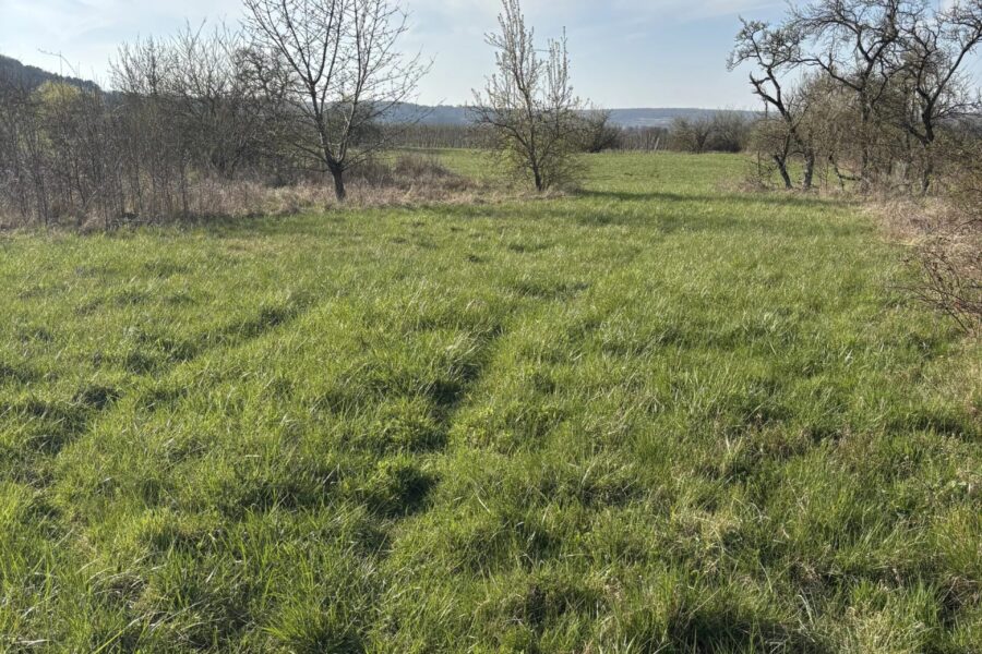 Terrain à vendre à Watronville — Vue nature — photo 1