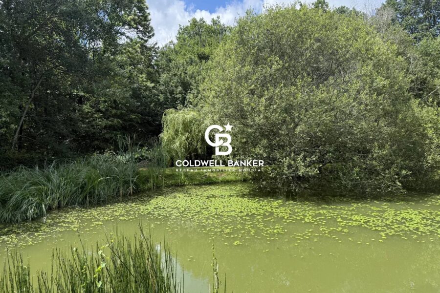 Maison à vendre à Vernou-sur-brenne — Vue parc — photo 20