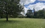 Maison à vendre à Saint-cyr-sur-loire — Vue parc — photo 21
