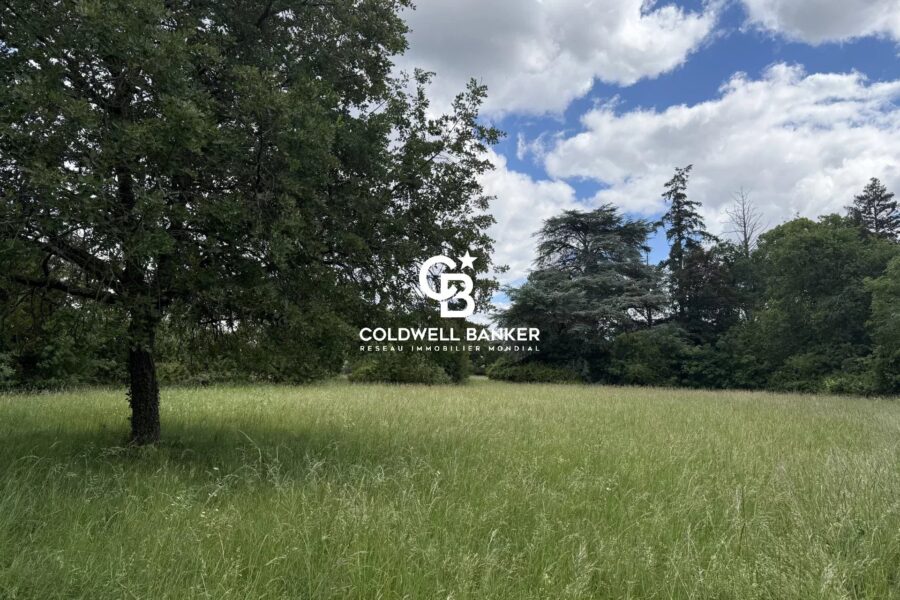 Maison à vendre à Saint-cyr-sur-loire — Vue parc — photo 21