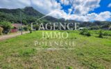 Terrain à vendre à Moorea-maiao — Vue nature — photo 1