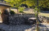 Maison à vendre à Saint pierre de colombier — Vue nature — photo 5