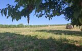 Terrain à vendre à Merignas — Vue nature — photo 5