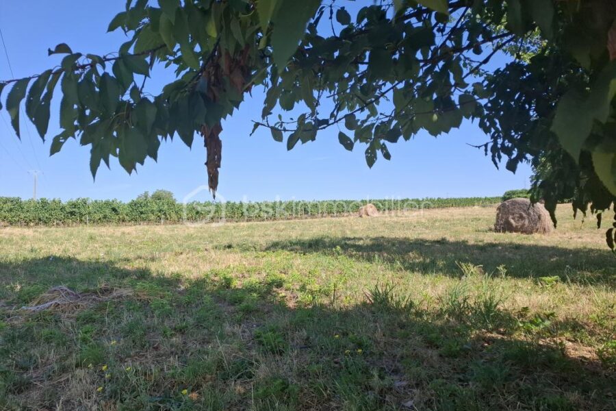 Terrain à vendre à Merignas — Vue nature — photo 5