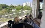 Appartement à vendre à Montigny-le-bretonneux