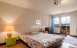 Maison à vendre à Arbusigny — Vue montagne — photo 19