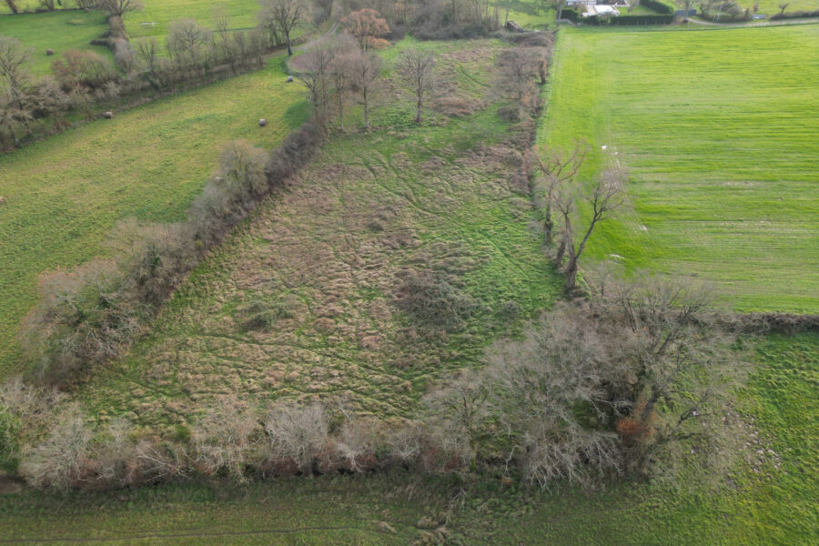 Terrain à vendre à Lys-saint-georges