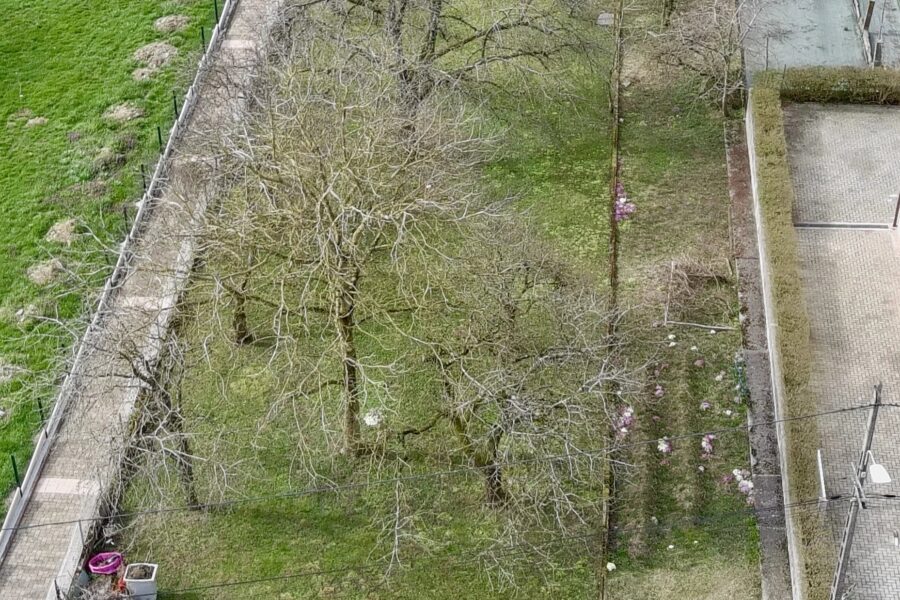 Terrain à vendre à Bust — Vue nature — photo 2