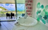 Appartement à vendre à Anse-marcel
