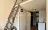 Appartement à vendre à Cavalaire sur mer — Vue nature — photo 6