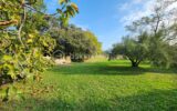 Maison à vendre à Cucuron — Vue nature — photo 6