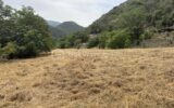 Terrain à vendre à Prades — Vue nature — photo 1