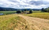 Terrain à vendre à Larreule — Vue nature — photo 6