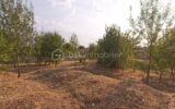 Terrain à vendre à Ners — Vue nature — photo 1