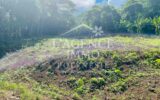 Terrain à vendre à Moorea-maiao — Vue nature — photo 1