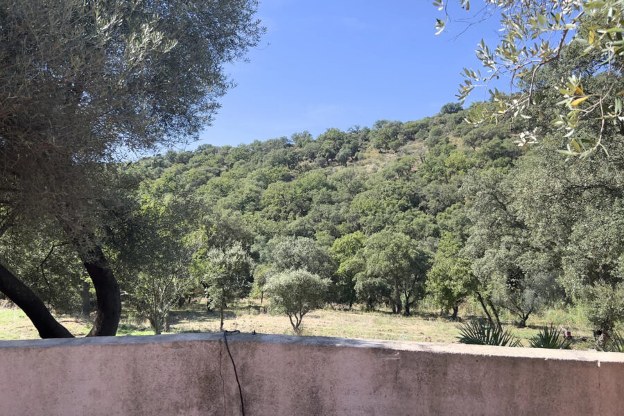 Maison à vendre à Grimaud