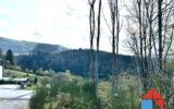 Terrain à vendre à Gérardmer — Vue nature — photo 2