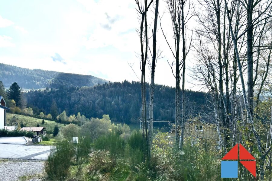 Terrain à vendre à Gérardmer — Vue nature — photo 2