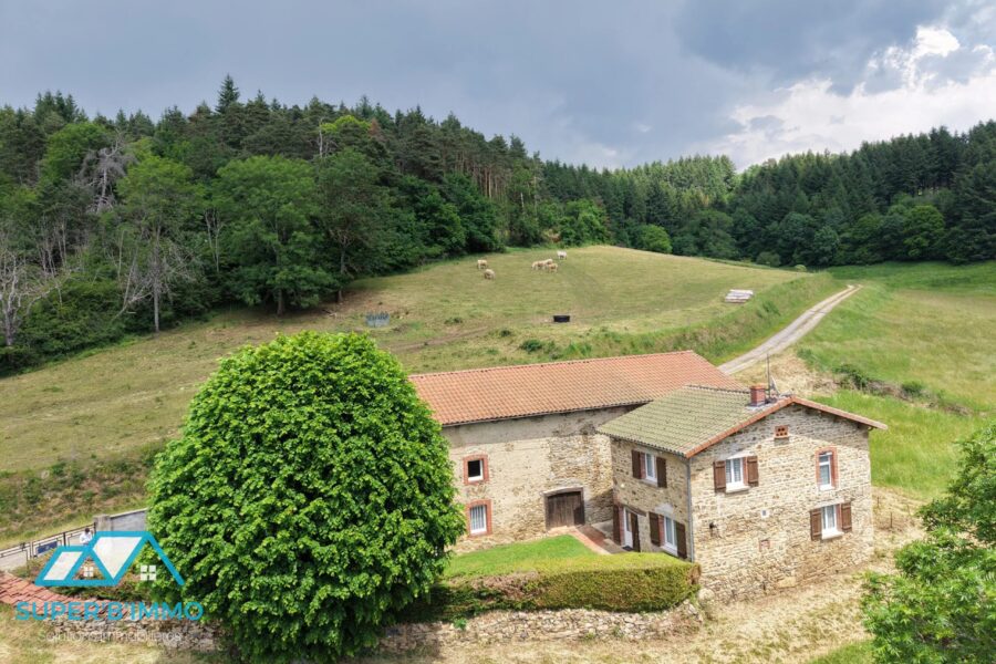 Maison à vendre à Champagnac-le-vieux — Vue nature — photo 2