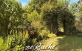 Maison à vendre à Saint-Vigor-le-Grand — Vue nature — photo 15