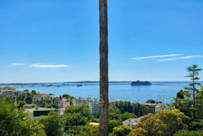 Appartement à vendre à Cannes