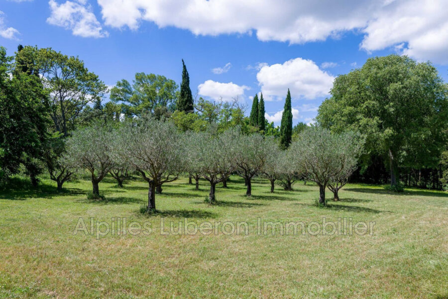 Maison à louer à Eygalières — Vue parc — photo 6