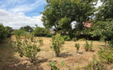 Maison à vendre à Marseille-en-beauvaisis — Vue parc — photo 13