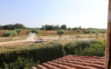 Maison à vendre à Canet-en-Roussillon — Vue nature — photo 1