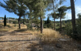 Terrain à vendre à Ollioules — Vue nature — photo 1