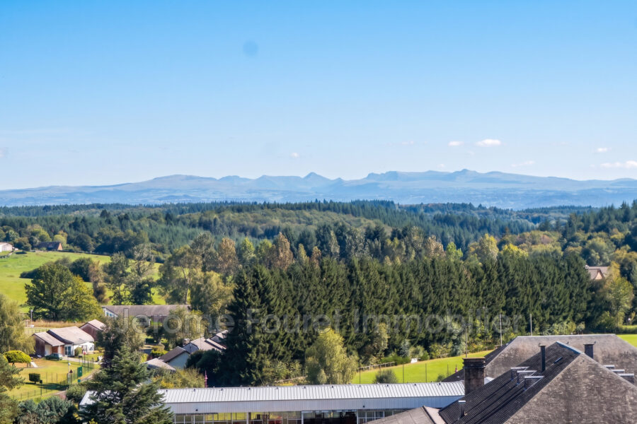 Appartement à louer à Neuvic — Vue nature — photo 1