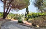 Maison à vendre à Auribeau-sur-Siagne — Vue nature — photo 7