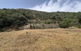 Terrain à vendre à Prades — Vue nature — photo 1