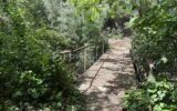 Terrain à vendre à Prades — Vue nature — photo 7