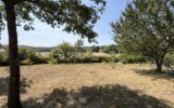 Maison à vendre à Casteljaloux — Vue nature — photo 1