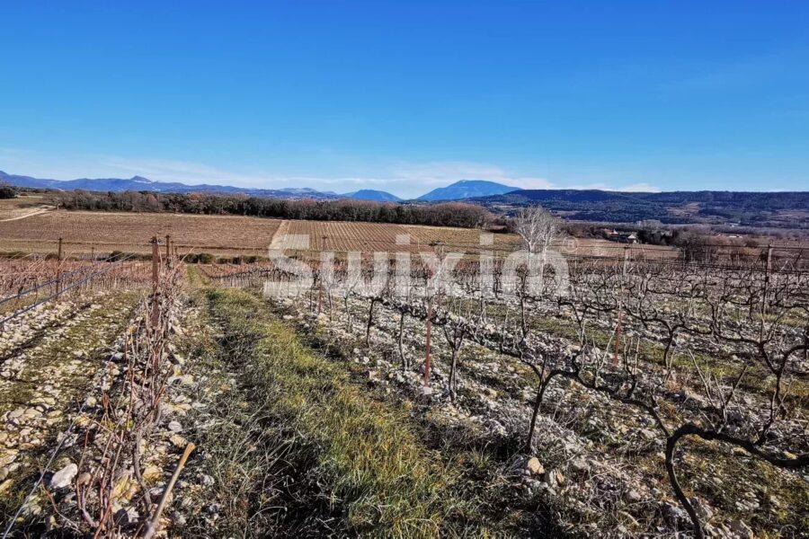 Maison à vendre à Tulette — Vue montagne — photo 1