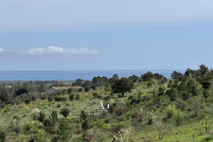 Terrain à vendre à Solaro