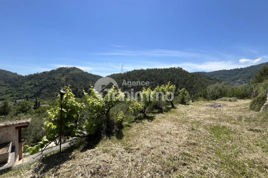 Maison à vendre à L&rsquo;escarène — Vue montagne — photo 14