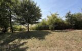 Maison à vendre à Casteljaloux — Vue nature — photo 8