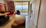 Appartement à vendre à Anse-marcel