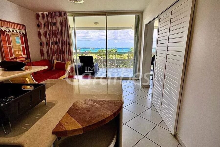 Appartement à vendre à Anse-marcel