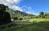 Terrain à vendre à Afareaitu — Vue montagne — photo 4