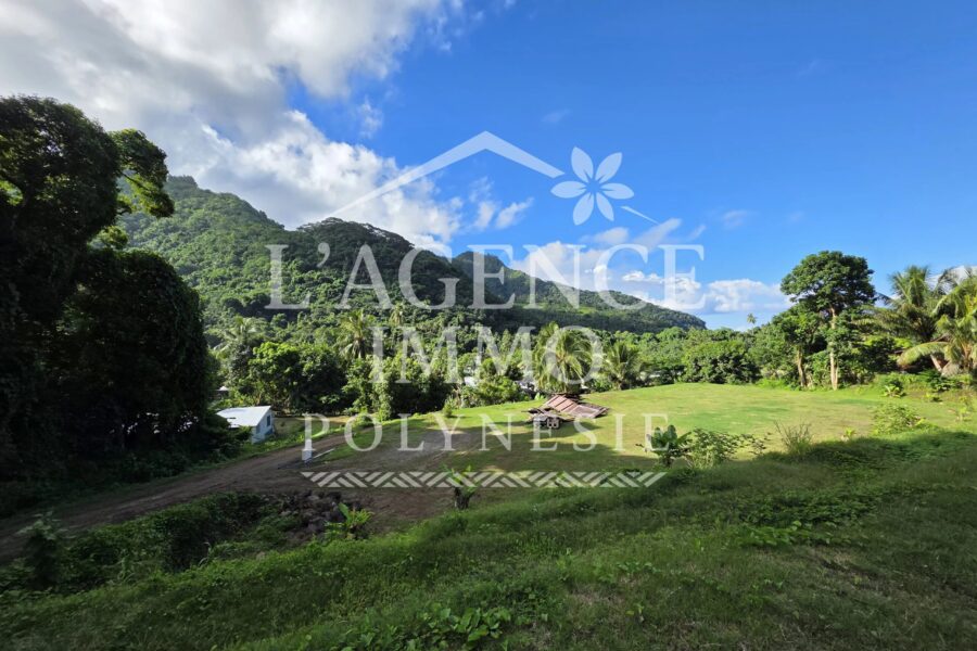 Terrain à vendre à Afareaitu — Vue montagne — photo 4