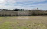 Terrain à vendre à Montauban — Vue nature — photo 1