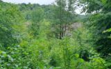 Terrain à vendre à Fains-véel — Vue nature — photo 3
